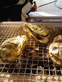d0005290_726649.jpg