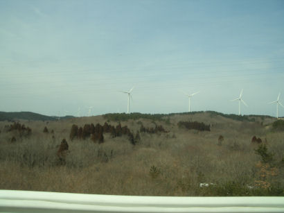 b0124693_12161699.jpg