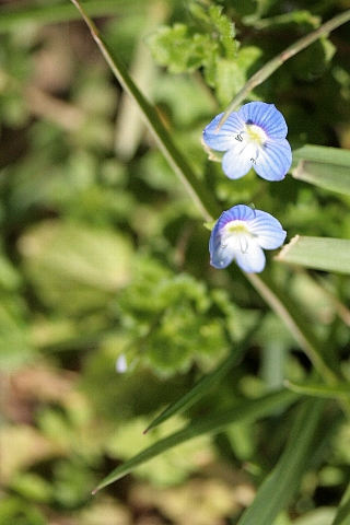 d0133693_18265892.jpg