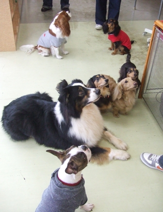 f0077697_19204730.jpg