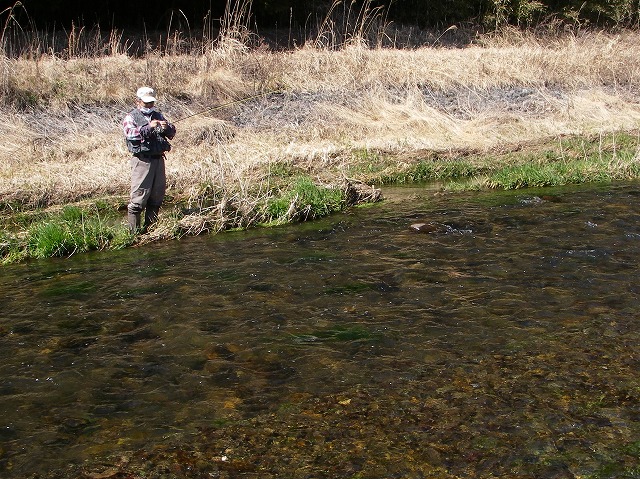 c0180802_22494488.jpg