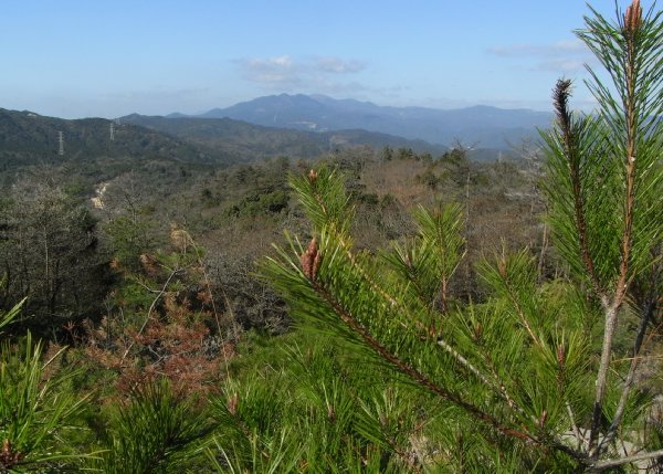 f0187402_18402067.jpg