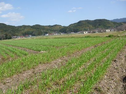 c0103205_19553214.jpg