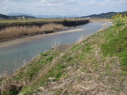 c0103205_19554930.jpg
