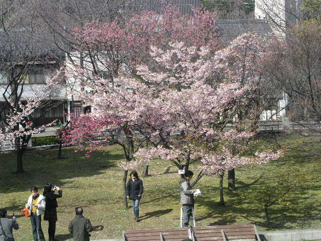 c0152507_18594012.jpg