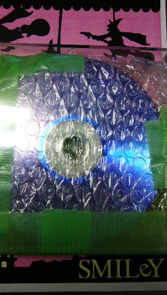 e0015108_852637.jpg