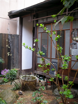 c0145209_23282188.jpg