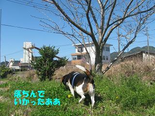 d0104209_20483320.jpg