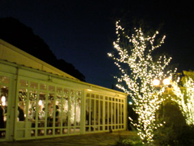 e0177509_2037358.jpg