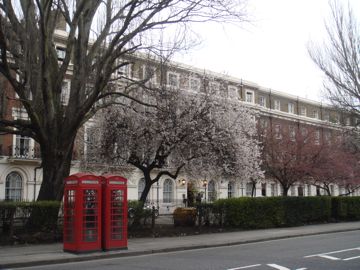 e0114020_605353.jpg