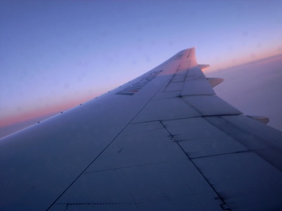 d0098022_1743584.jpg