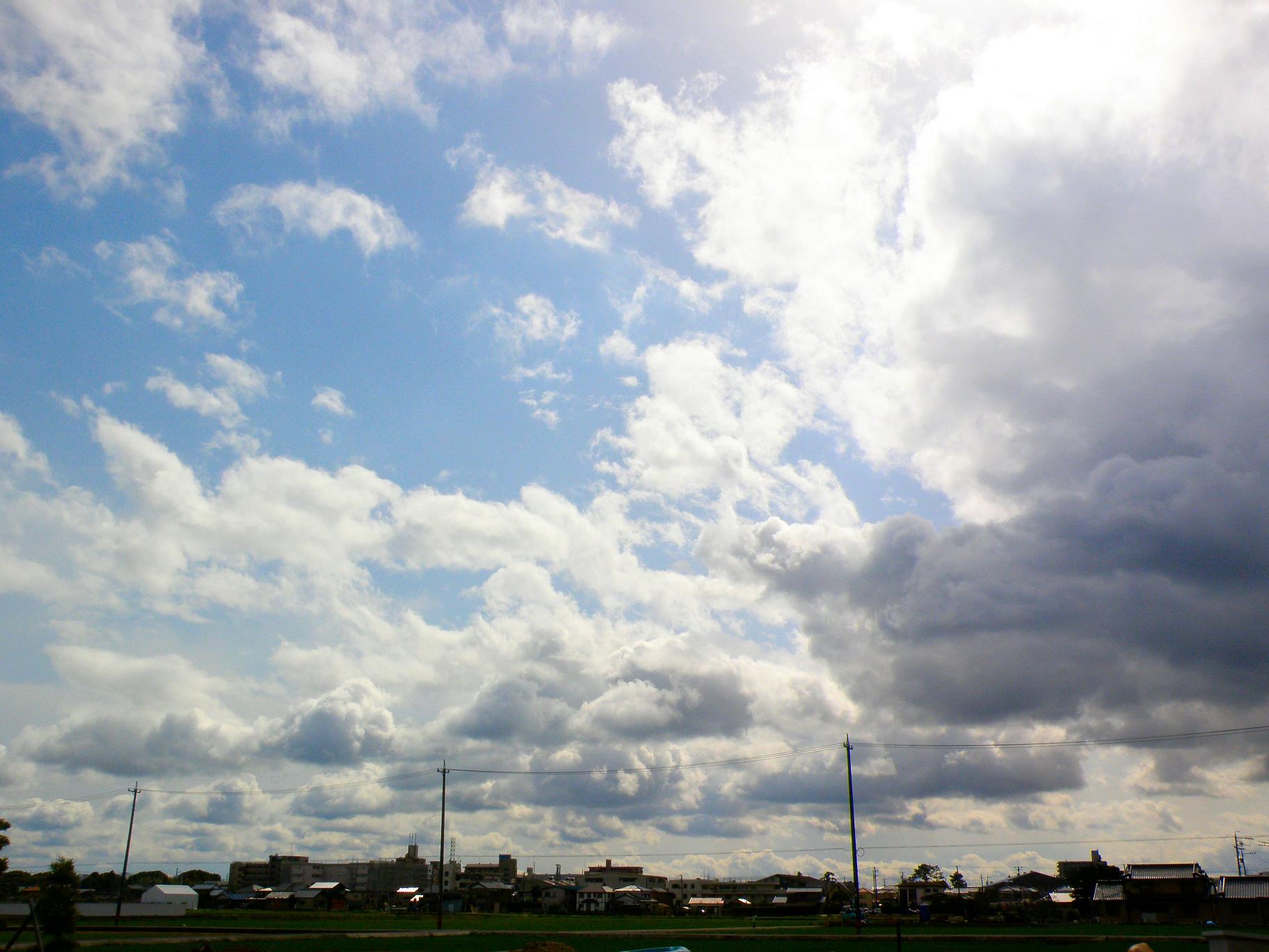 d0118729_834467.jpg