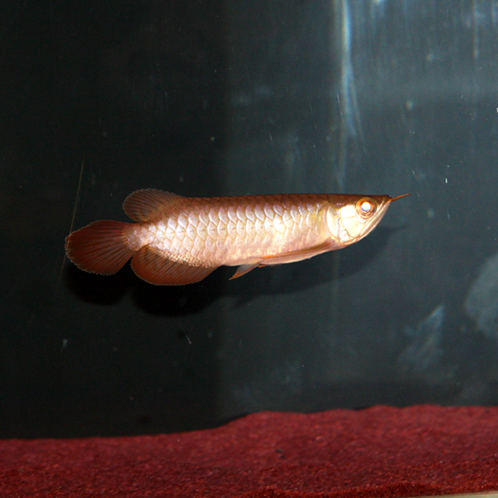 e0164530_0574512.jpg