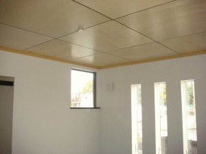 a0009333_2344791.gif