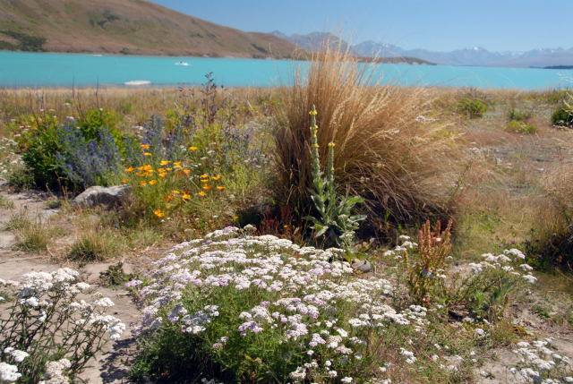 d0091834_14434541.jpg