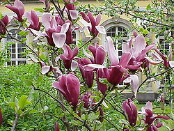 f0034334_15162250.jpg
