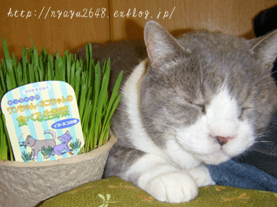 f0008935_2494536.gif