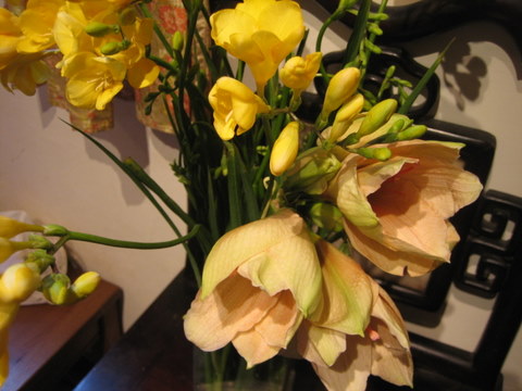 e0018143_17261450.jpg