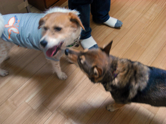 c0086746_271418.jpg