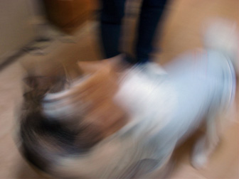 c0086746_273099.jpg