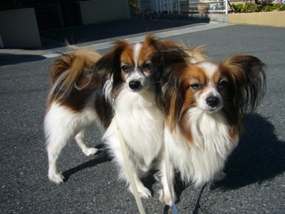e0100046_15551559.jpg