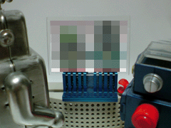 e0005548_23403758.gif