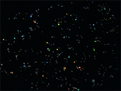 e0005548_8342576.gif