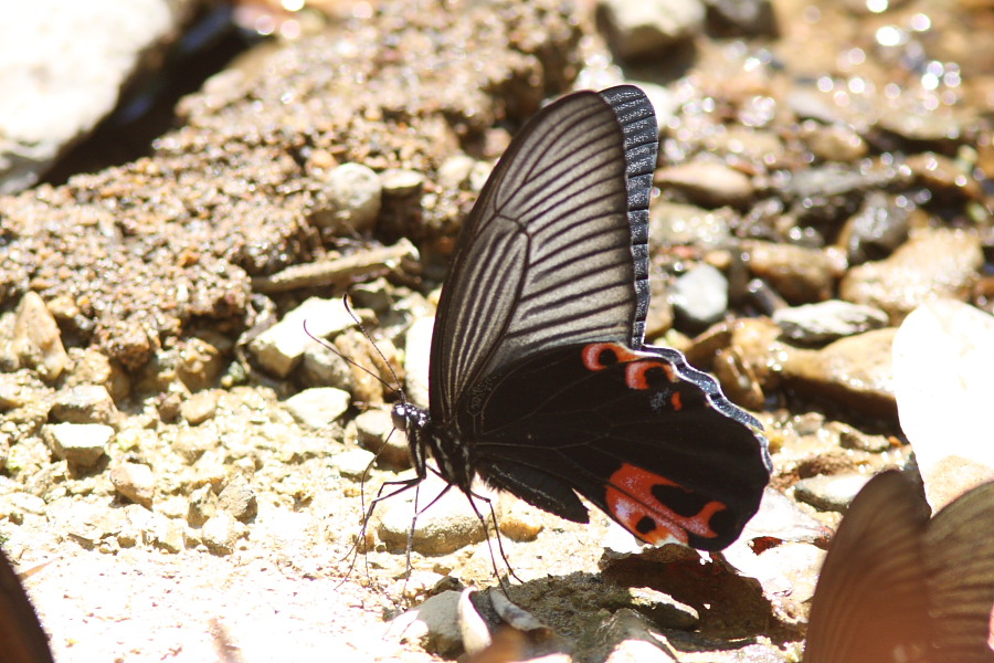 a0094850_18565289.jpg
