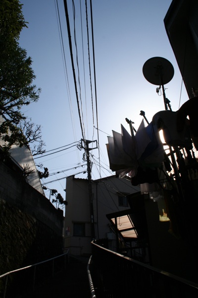 a0048851_1943790.jpg