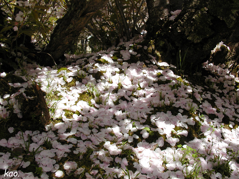b0164651_18594487.jpg