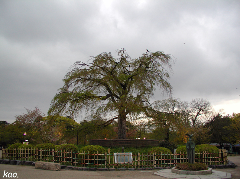 b0164651_1905311.jpg