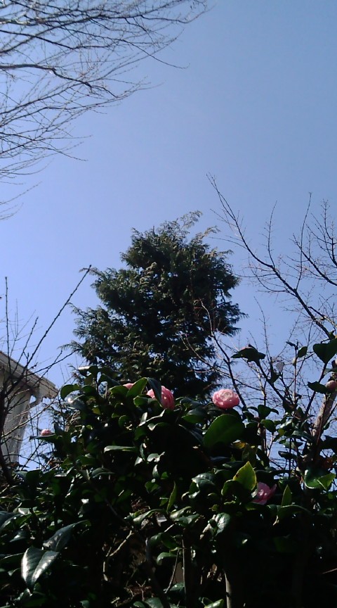 f0150151_11223771.jpg