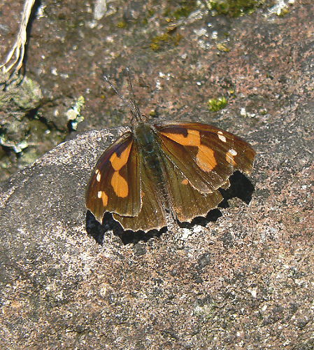 d0091754_2282141.jpg