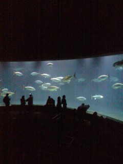 d0095555_10452837.jpg