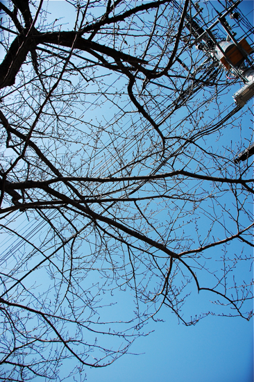 f0176458_0464331.jpg