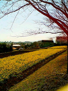 f0020662_155032.jpg
