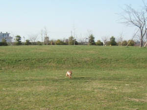 c0135363_2323716.jpg