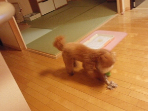 c0135363_2445797.jpg