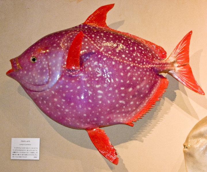 b0131071_14555.jpg