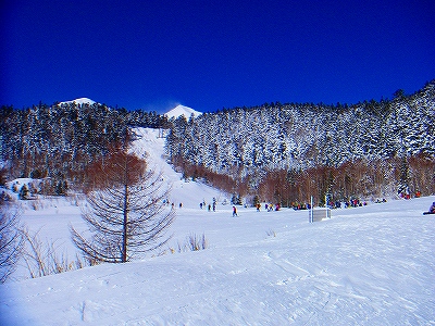 f0182173_13171083.jpg