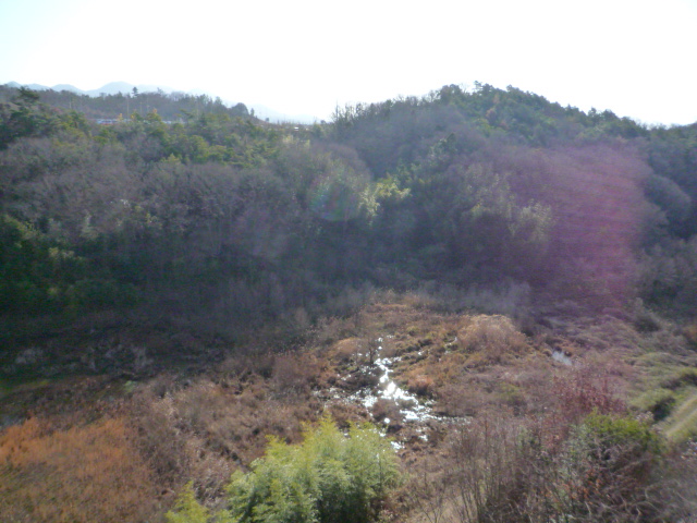 c0160778_2014579.jpg