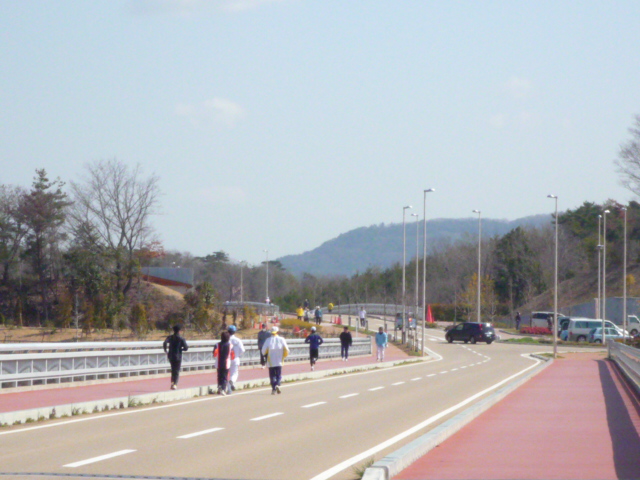 c0160778_2024253.jpg