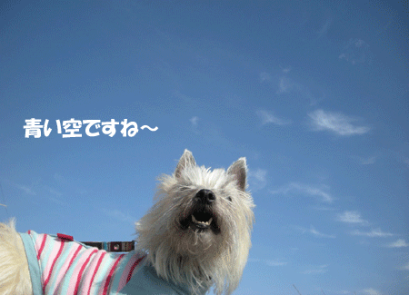 e0066883_20475239.gif