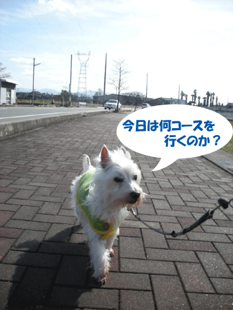 e0066883_20575926.gif