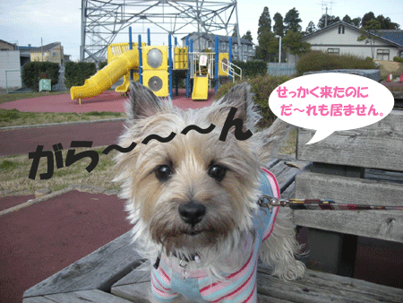 e0066883_2059190.gif