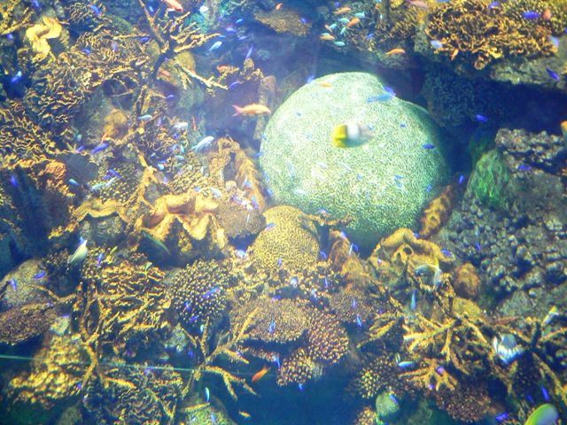 e0126594_21215746.jpg