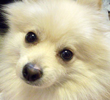 c0138198_1457582.jpg