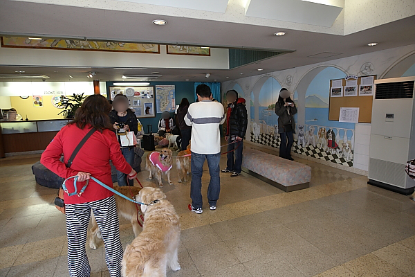 e0117503_18482551.jpg