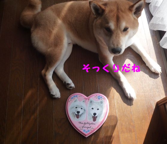 e0018604_9534423.jpg