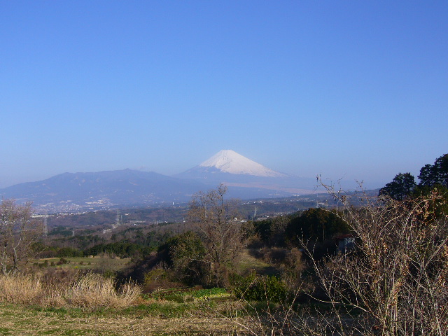 e0015108_1010225.jpg
